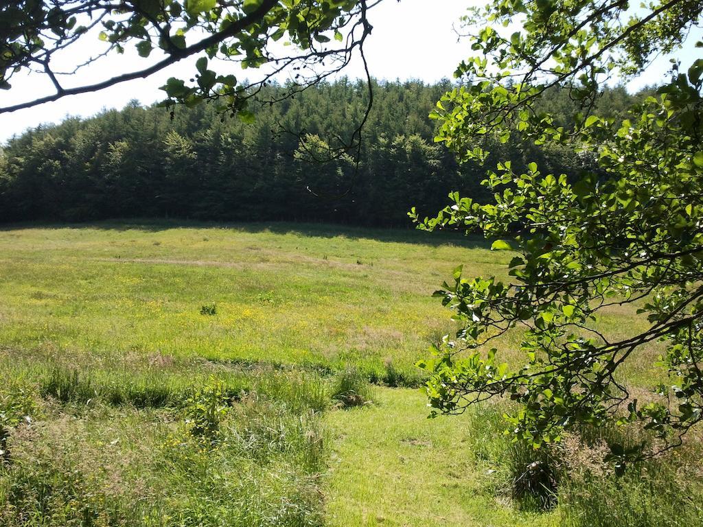 Rawcliffe House Farm Villa Pickering Exterior photo